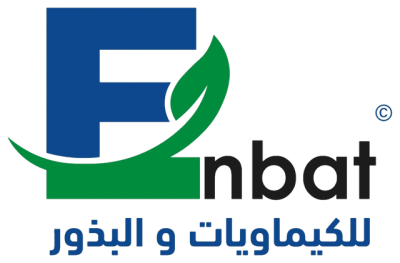 إنبات